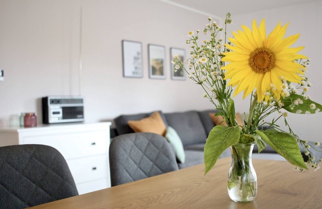 Apartment/apartment for 4 guests with 62m² in Kenzingen (159112)