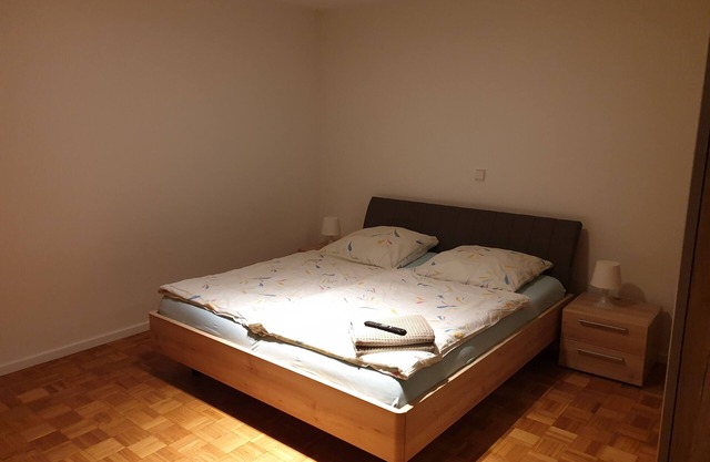 Apartment at the spa park