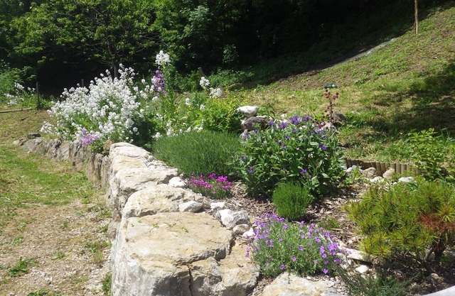 Apartment between lake and mountain near Annecy