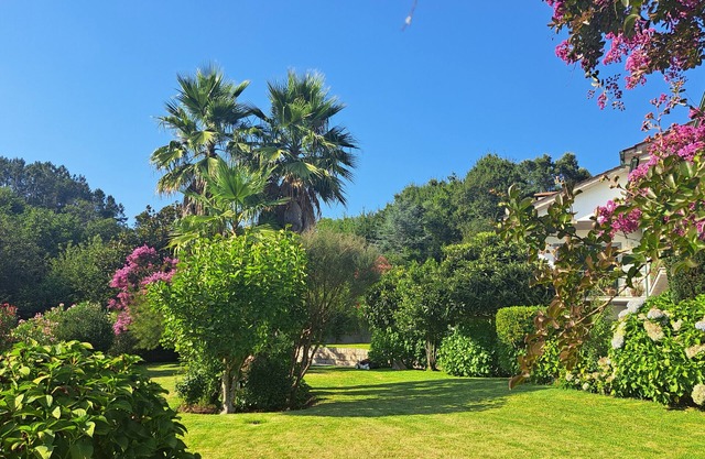 Apartment 'Casa Pinho' with Mountain View, Private Terrace and Wi-Fi