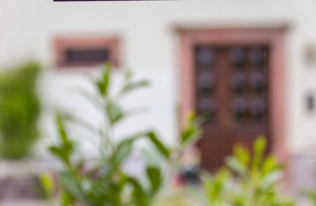 Apartment 'Ferienwohnung Rochlitzer Berg Blick' with Mountain View and Wi-Fi