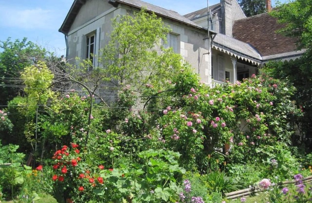 Apartment/flat - Loches