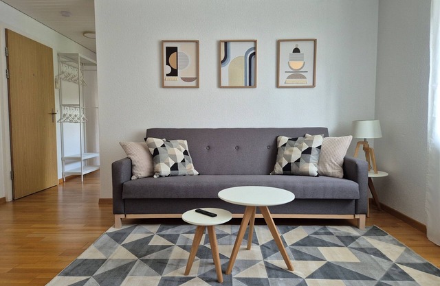 Apartment for 3, close to Zürich and Luzern, free private parking