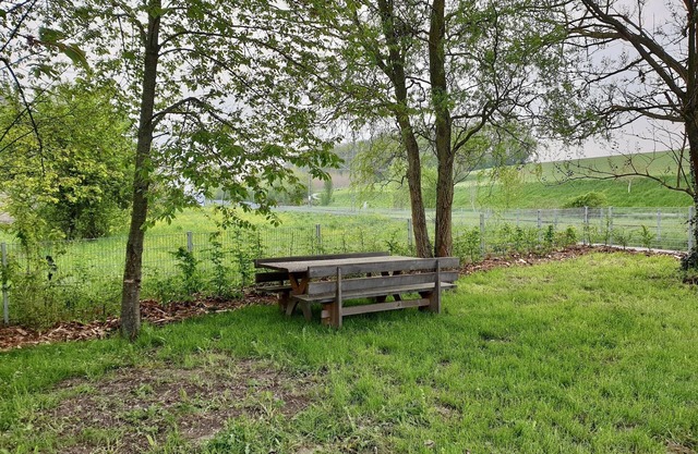 Apartment Freunde WG, 105sqm, 4 bedrooms, max. 8 persons