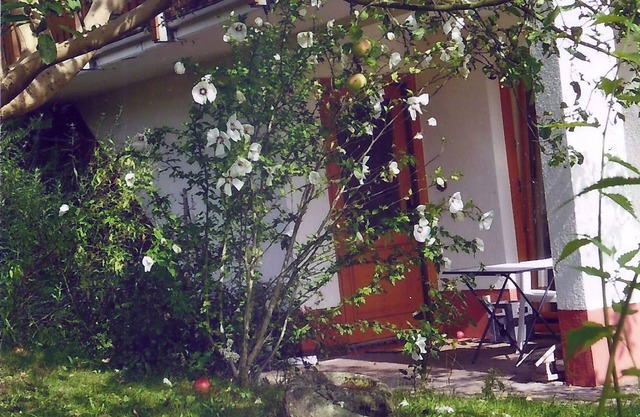 Apartment in a green idyll on the edge of Chemnitz