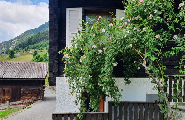 Apartment in historic village of Leventina (Margherita Apartment)