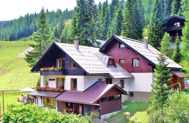 Apartment in Nassfeld near Ski Slopes