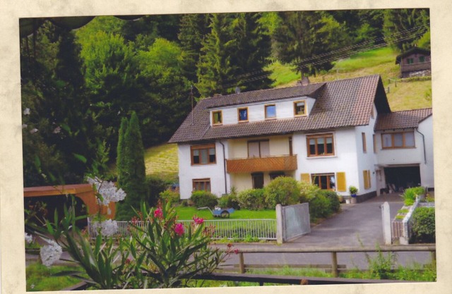 Apartment in the heart of the Spessart 2