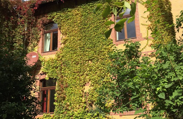 Apartment in the Wilhelminian style house