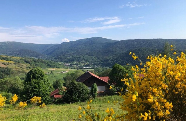 Apartment on Vosges farm with terrace, fireplace and wifi
