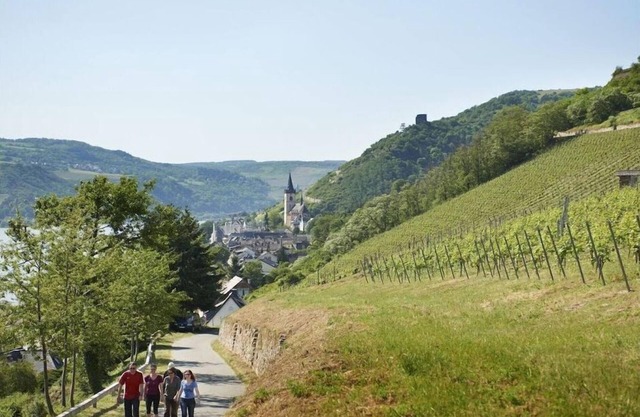 Apartment Pinot Noir