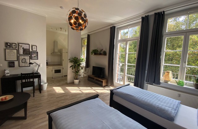 Apartment-Private Bathroom-Balcony-König Georg 3
