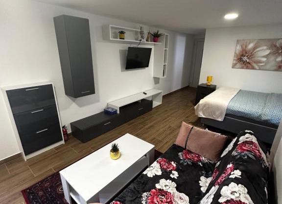 Apartment Radić 1