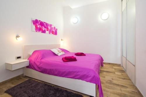 Apartment Radiant Orchid