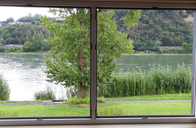 Apartment 'Rheinblick Wohnung 3' with Shared Terrace and Wi-Fi