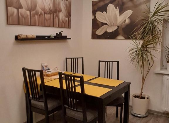 Apartment Riegerovka