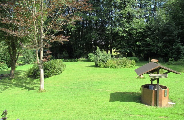 Apartment right on the forest in a quiet, secluded location in the heart of the Vulkaneifel