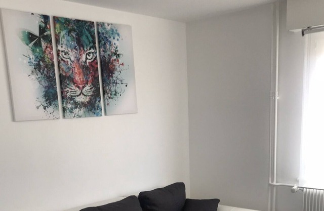 Apartment STRASBOURG WACKEN SCHILTIGHEIM