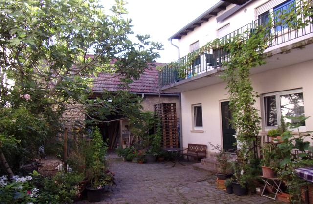 Apartment to the courtyard