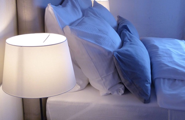 Apartment type 'B' in a *former motor mill*