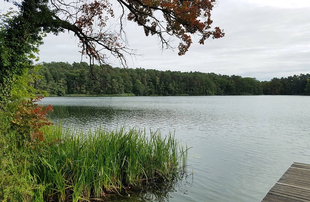 Apartment Waldsieversdorf/Buckow am Daebersee