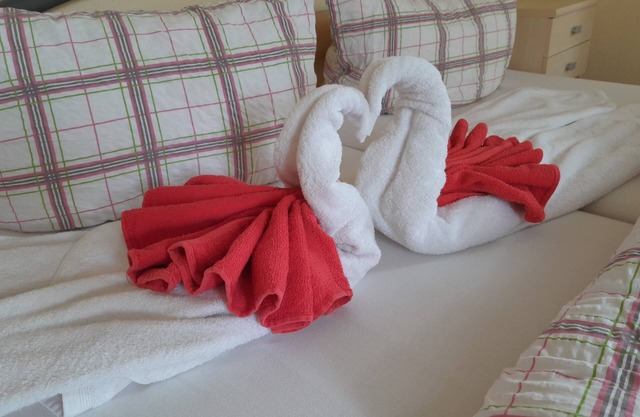 Apartment with a view of Dresden