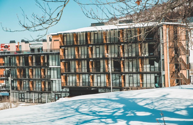 Apartment with amazing view on Didveli
