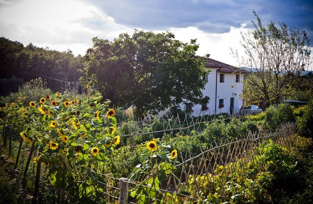 Apartment with private garden on the ground of organic farm, infinity pool