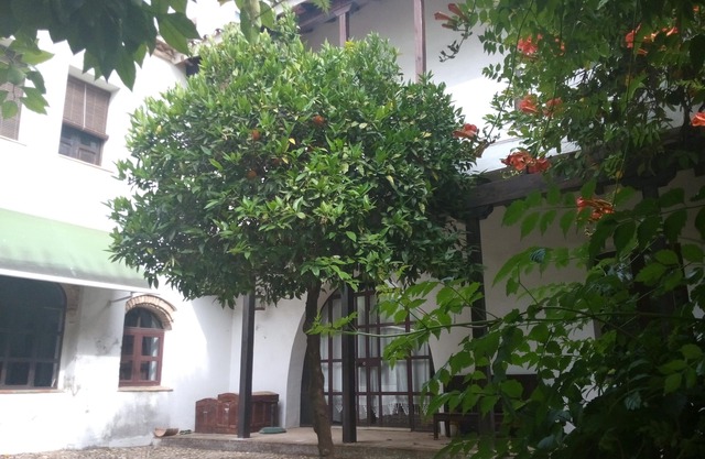 APARTMENT WITH TERRACE-SOLARIUM AND OWN PATIO, PATIO DEL LIMONERO