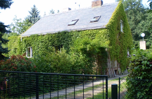 Apartment 'Wolf' with Private Terrace, Shared Garden and Wi-Fi