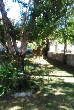 Appartamenti De Sanctis