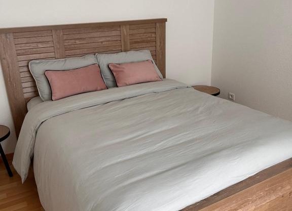 Appartement 1 chambre rue Faubourg de Besançon
