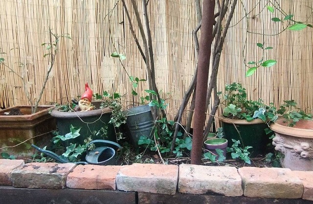 Appartement Ancien Avec Jardin au Calme. Charme Xxl. Animaux, C'est oui !