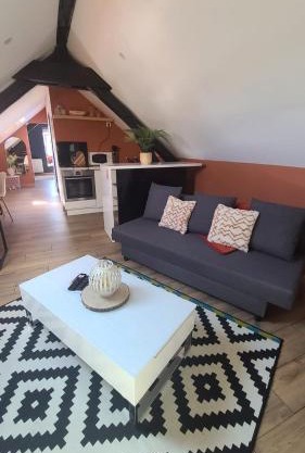 Appartement de 50m cosy et bien aménagé