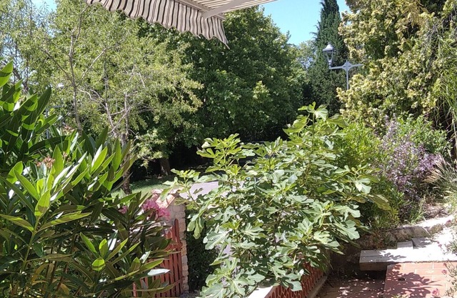 Appartement Rénové 2023 au rdv de la Villa