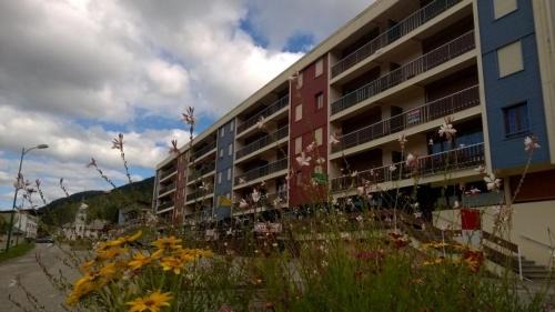 Appartement spacieux tout confort pied des pistes