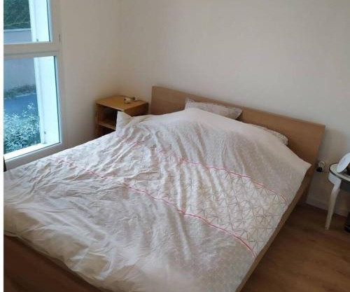 Appartement T3