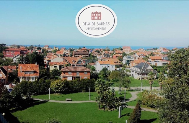 APS La Deva de Salinas