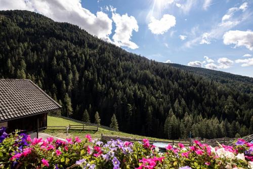 Apt Talblick Hinterproslhof