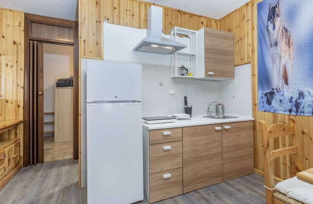 APT Wren in the heart of Sella Nevea! x4