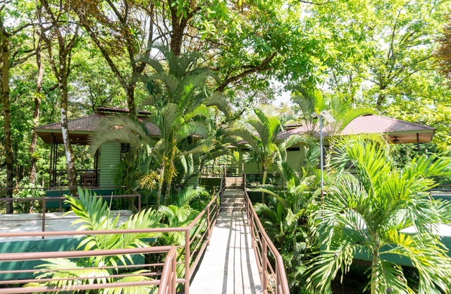 Arbol Verde Villas