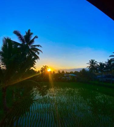 ARISTA Homestay