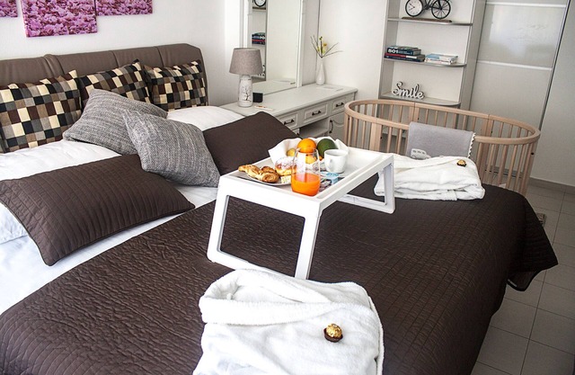 Arka Zagreb Luxury Apartment - breakfast - limousine - child care - free Netflix