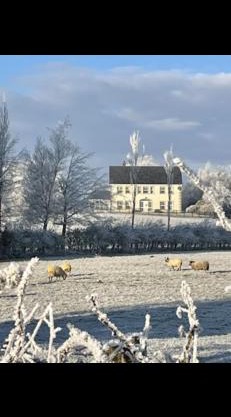 Arney Lodge Farm