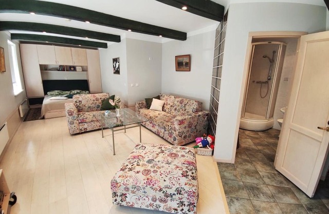 Arte Apartment