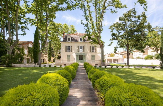 Ash trees in Provence