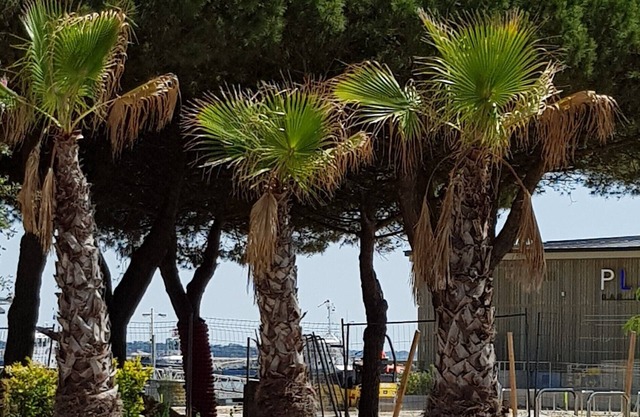 Atelier ♥️♥️♥️ - Entre Plage & Port, Atelier d'Artiste à Saint-Nazaire