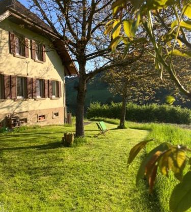 Auszeit im Waldhaus