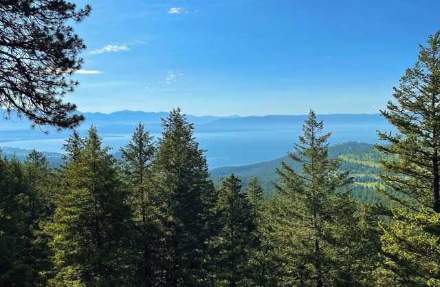" Authentic Hand-Crafted Cabin " w/Awesome Lake View !