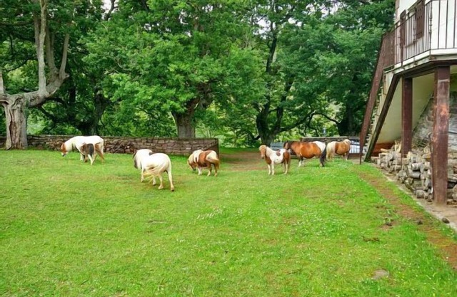 Autxikoborda rural apartment for 6 people
